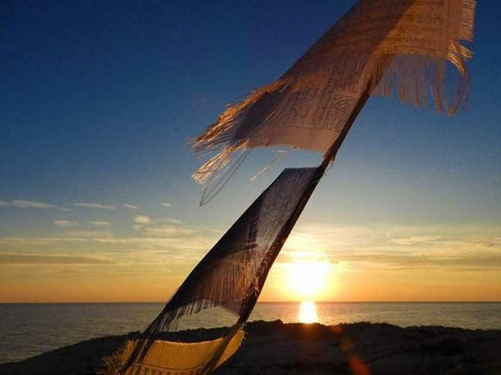 App Sailboat Near City Center And Beach *